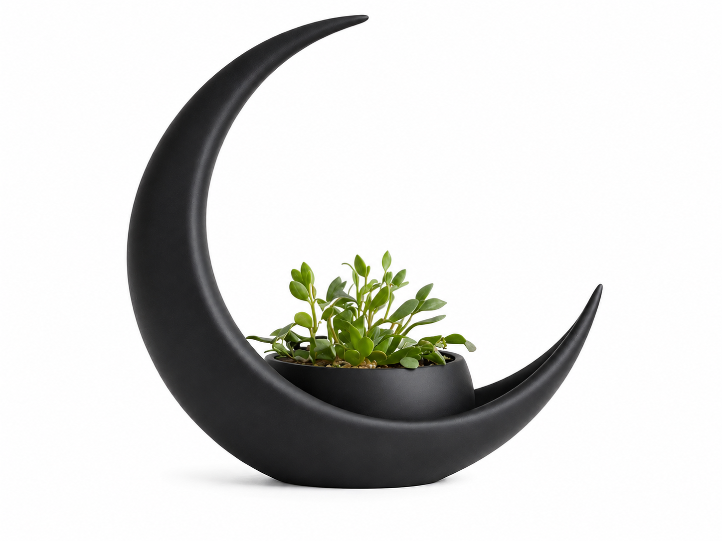 Pot de Plante Lune Minimaliste