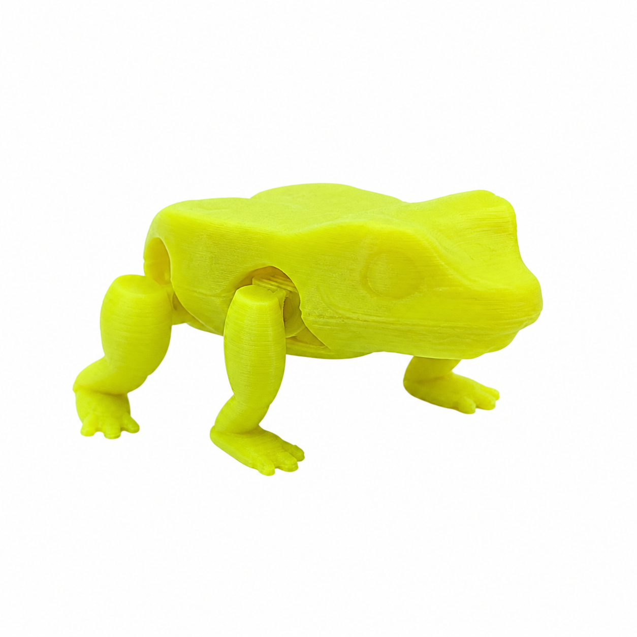 Grenouille de saut
