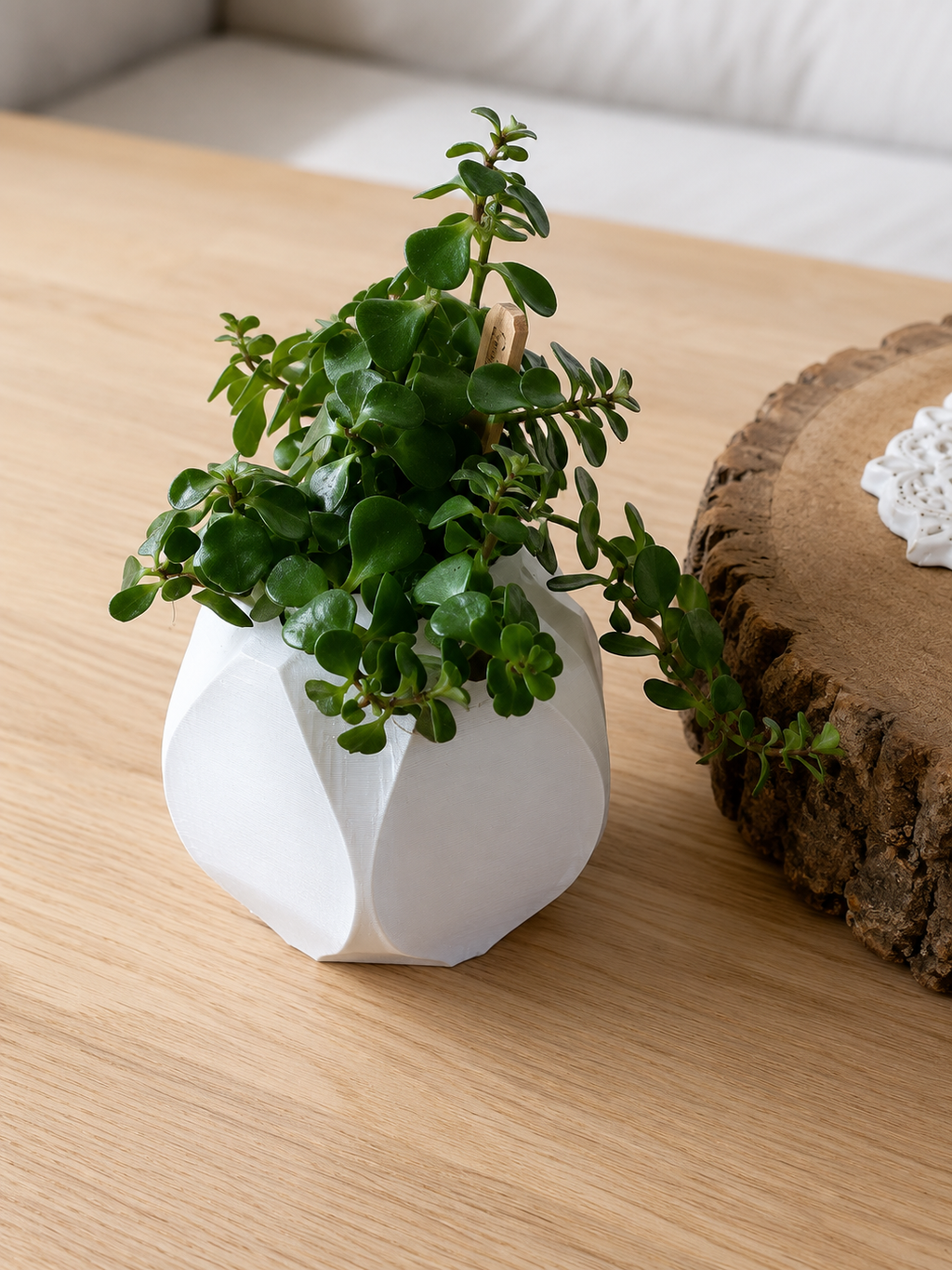 Vase décoratif pour plantes
