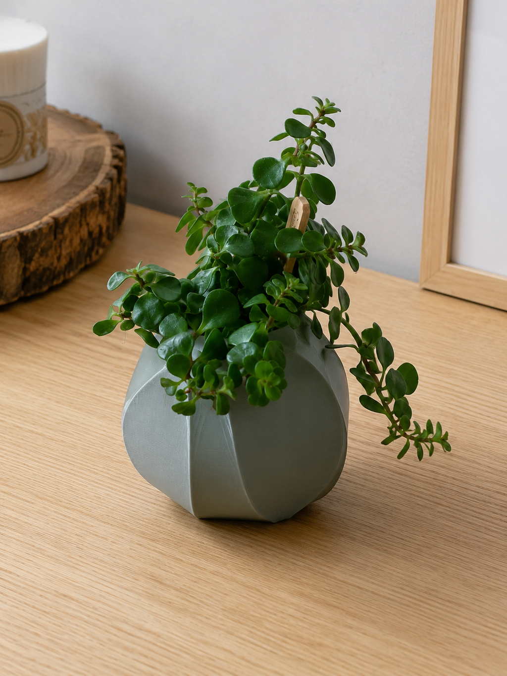 Vase décoratif pour plantes