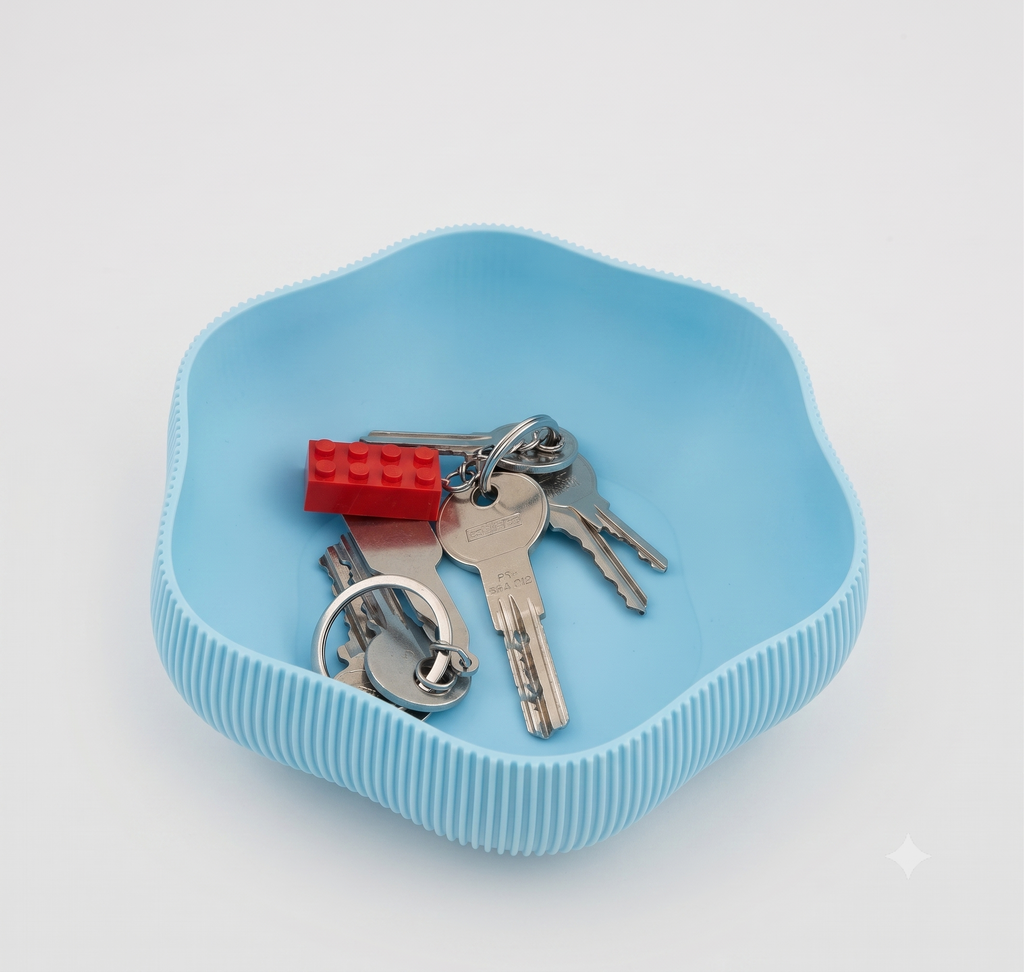 Bol rangement clés et pièces de monnaie design moderne