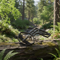 Image –  – Outdoor